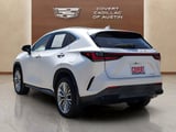 2022 Lexus NX - Preview 3