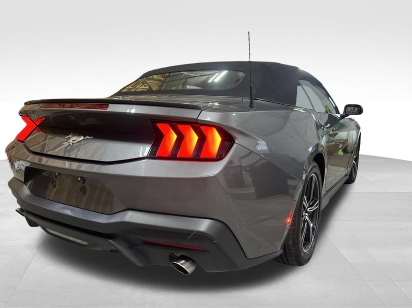 2024 Ford Mustang - Image 3
