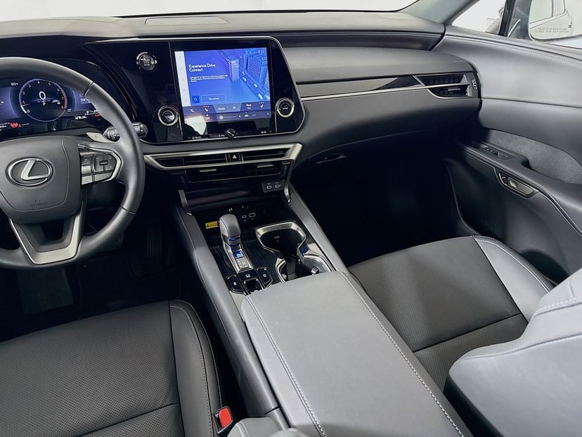 2025 LEXUS RX 350 - Image 22