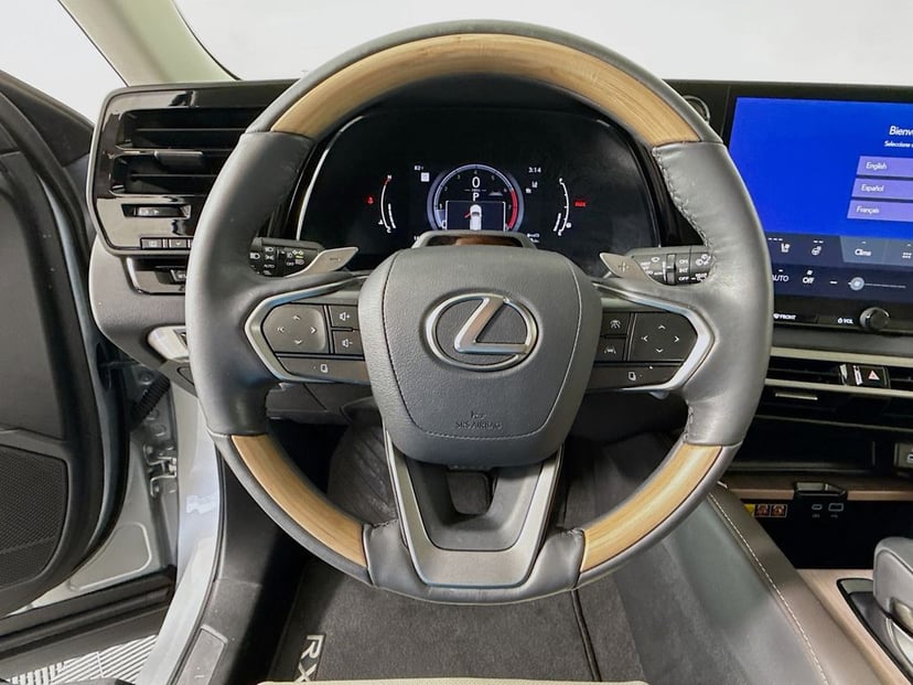 2024 LEXUS RX 350 - Image 10