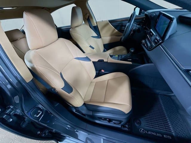 2025 LEXUS ES 300h - Image 29