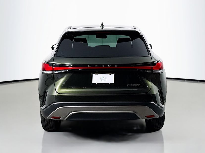2025 LEXUS RX 350 - Image 5