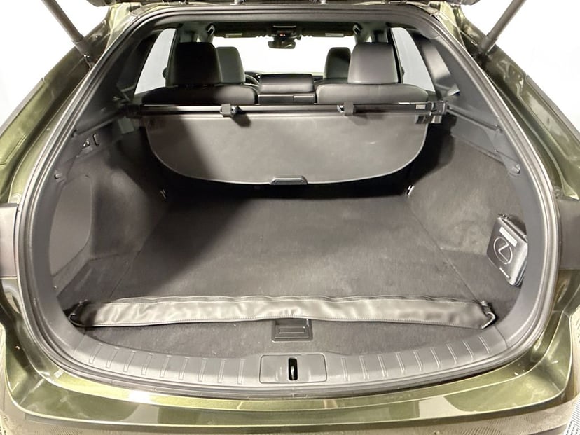 2025 LEXUS RX 350 - Image 25