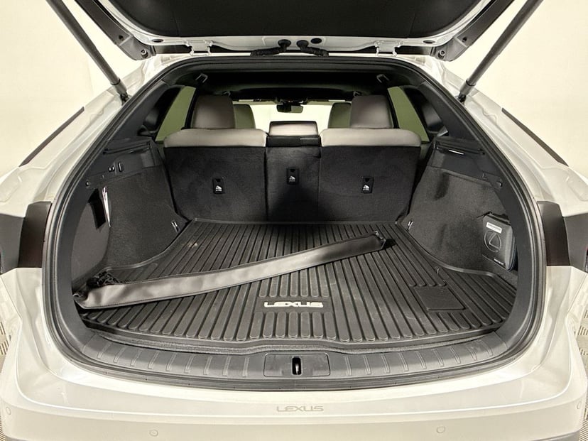 2024 LEXUS RX 350 - Image 28