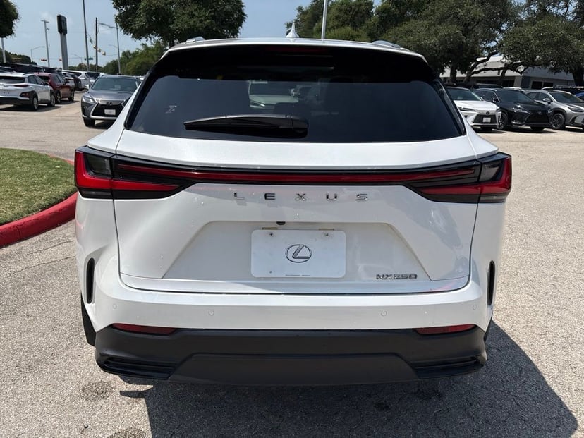 2024 LEXUS NX 250 - Image 3
