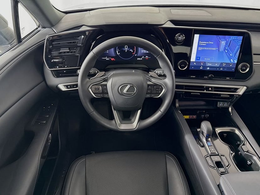 2025 LEXUS RX 350 - Image 21