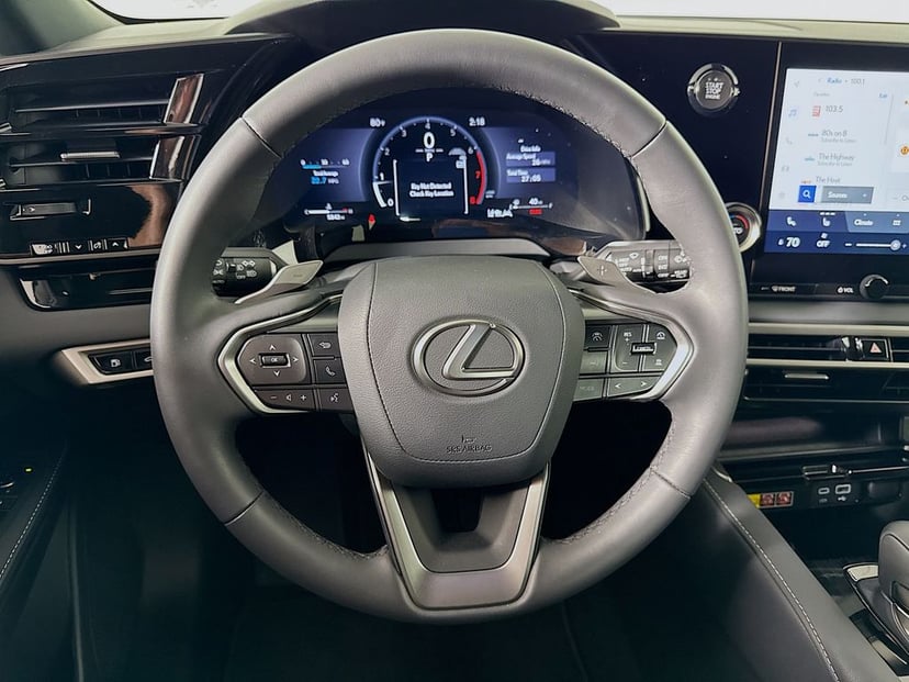 2025 LEXUS RX 350 - Image 10