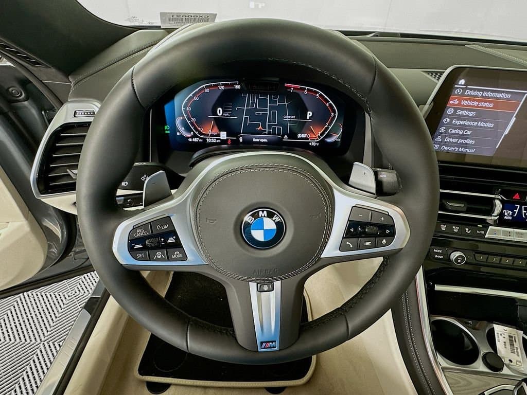 2026 BMW 8 Series - Image 10
