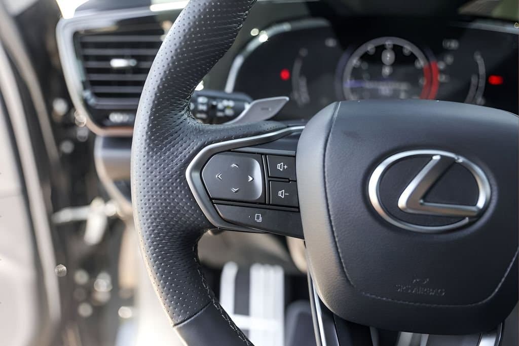 2024 Lexus NX - Image 14