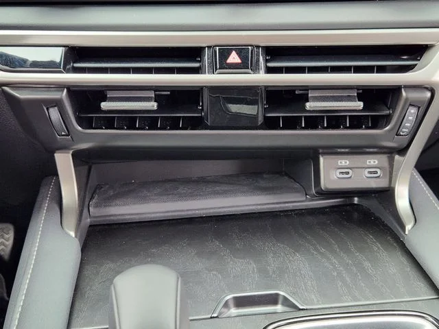 2024 Lexus RX - Image 19