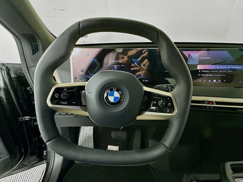 2026 BMW iX - Image 10