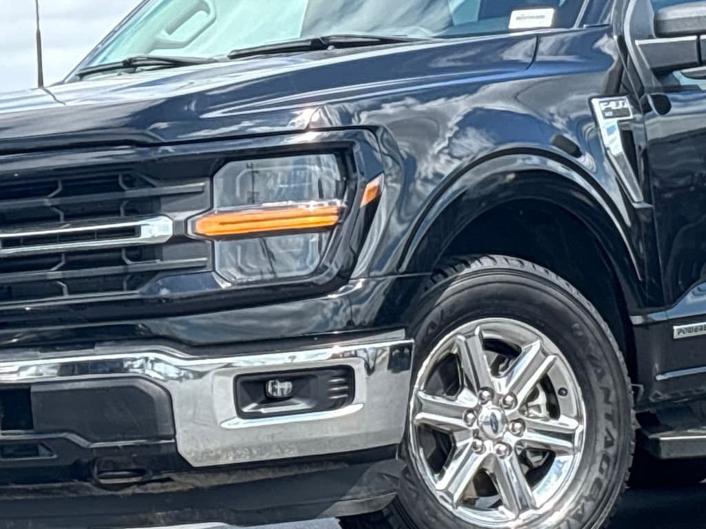 2024 Ford F-150 - Image 2