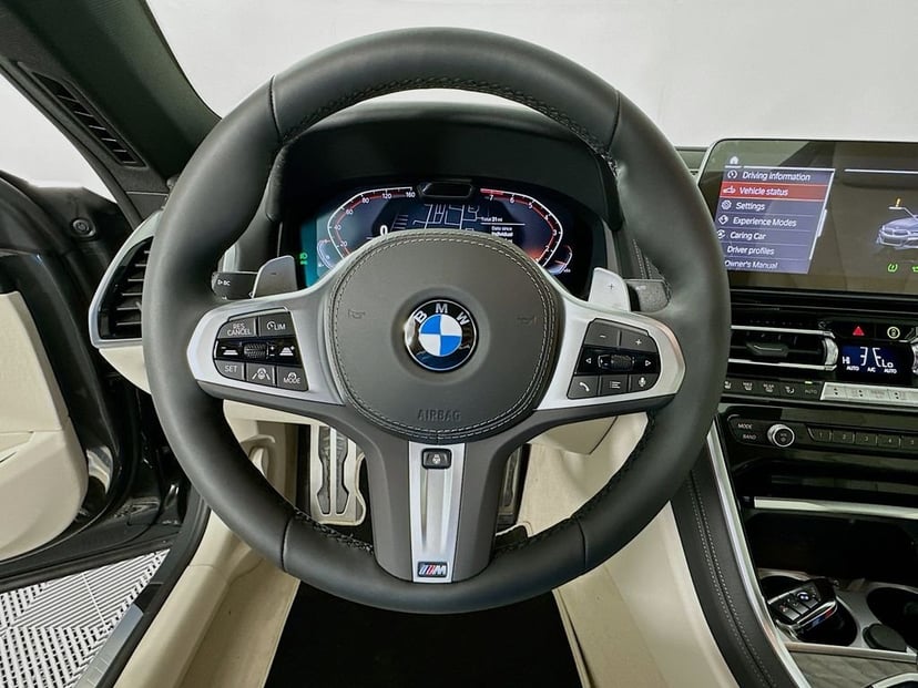 2026 BMW 8 Series - Image 10
