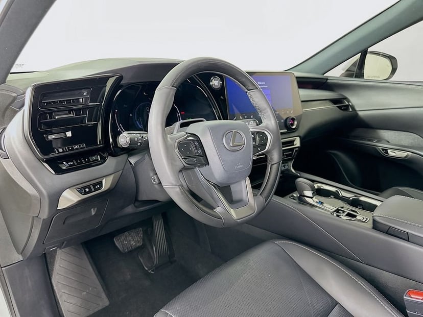 2024 Lexus RX - Image 9
