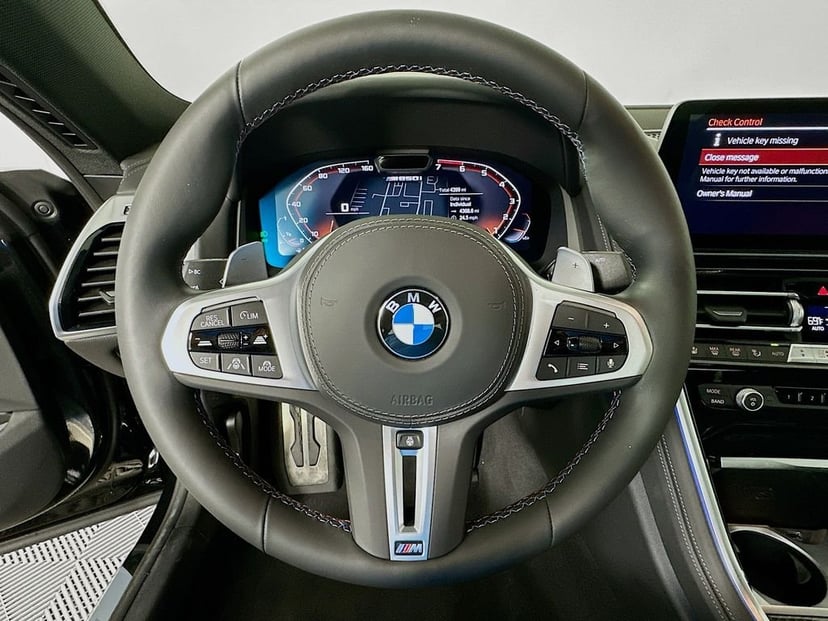 2025 BMW 8 Series - Image 11